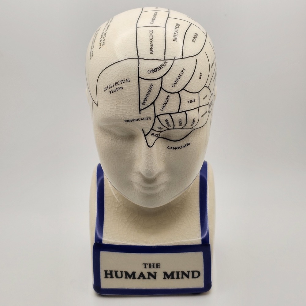 Phrenology Head Statue Map of Brain Porcelain Victorian Deco Sculpture